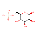 HMDB0001078 structure image